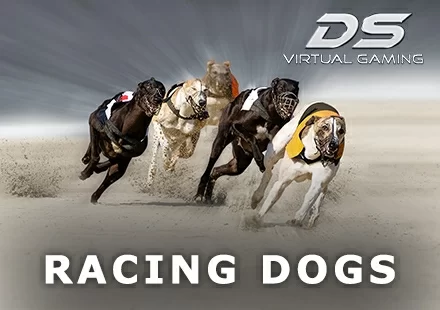 Racing Dogs